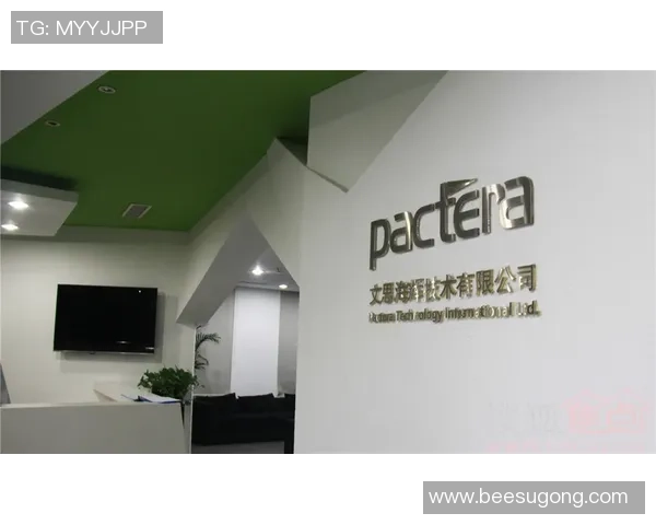 北京排球队防反战术解析与热点动态深度剖析