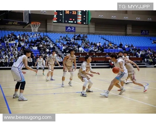 杭州篮球队配合默契再创新高引领全国篮球新风潮